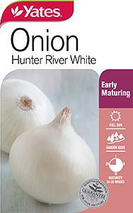 ONION SEEDS - HUNTER RIVER WHITE - YATES