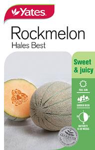 ROCKMELON SEEDS - HALES BEST - YATES