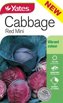 CABBAGE  SEEDS - RED MINI - YATES
