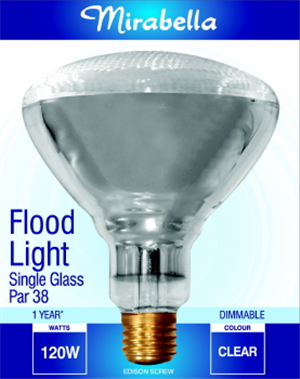 FLOOD LIGHT -  PAR 38 -  ES - 120 Watt