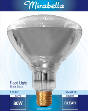 Incandescent outdoor hot sale flood light bulbs
