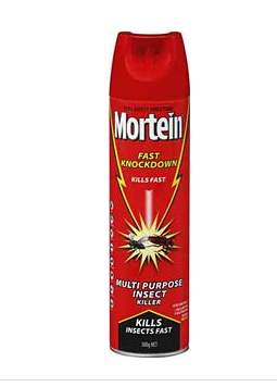 MORTEIN INSECT SPRAY - FAST KNOCKDOWN   - 300g - AEROSOL