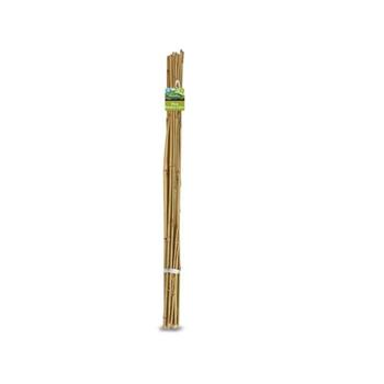 STAKES - BAMBOO CANES - 1.8M - 10 PACK - BRUNNINGS
