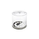 SOLAR - BIOLITE - LUCI ORIGINAL CLEAR S26 LIGHT - COLLAPSIBLE