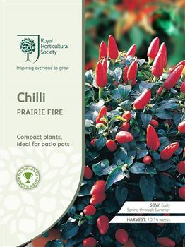 CHILLI SEEDS - PRAIRIE FIRE - YATES