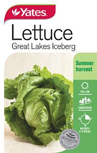 LETTUCE SEEDS - ICEBERG GREAT LAKES - YATES