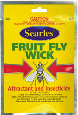 FRUIT FLY - WICK - SEARLES