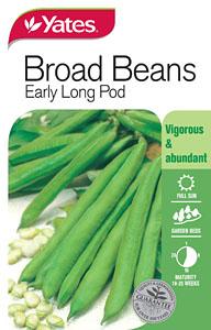 BROAD BEAN SEEDS - EARLY LONG POD - YATES