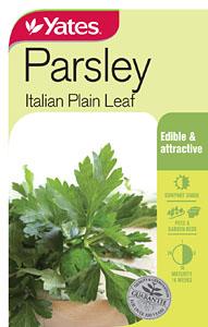 PARSLEY SEEDS - ITALIAN PLAIN LEAF - YATES