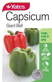 CAPSICUM SEEDS - GIANT BELL  - YATES