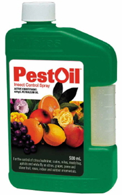 PEST OIL - CONCENTRATE - 500ml