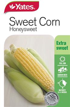 CORN SEEDS - SWEET CORN HONEYSWEET - YATES