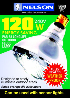 FLOOD LIGHT - CLEAR - PAR 38 -  ES - 120 Watt