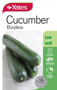 CUCUMBER SEEDS - BURPLESS - YATES