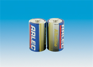 BATTERY - D ALKALINE PK2