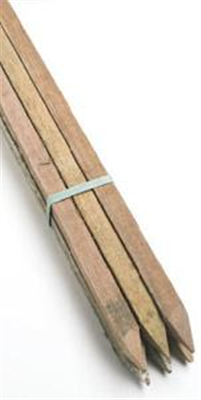 TIMBER STAKES - 25 x 25 x 750mm - 6 PACK