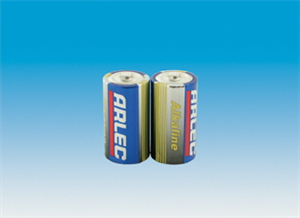 BATTERIES - C TYPE - ALKALINE - Pkt 2