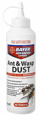 WASP & ANT DUST - EUROPEAN WASP
