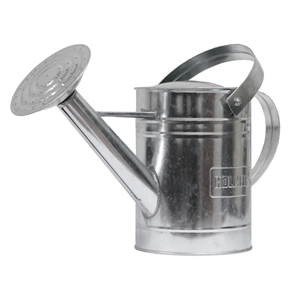 Watering Can 9 LITRE METAL - GALVANISED