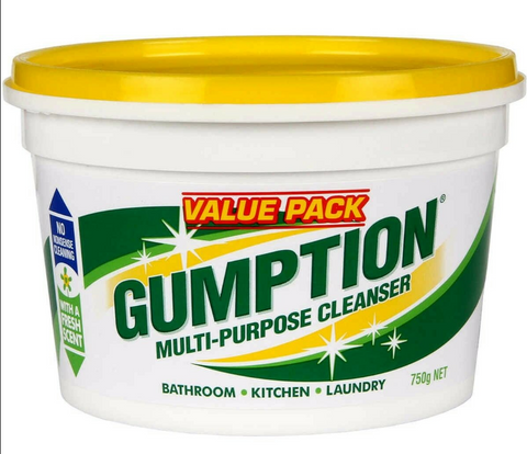 GUMPTION CLEANER - PASTE - 750gms